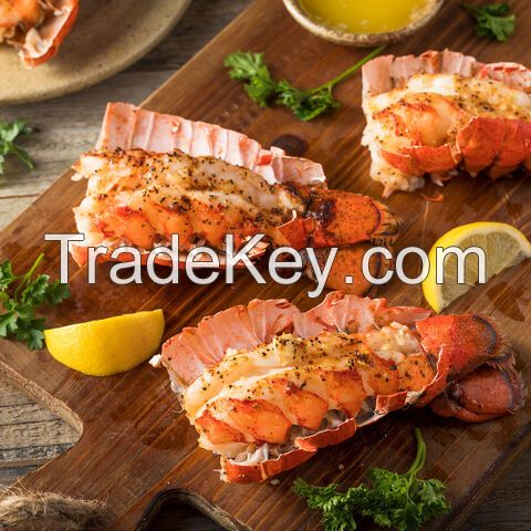 Wholesale fresh wild caught lobsters Lobsters for sell