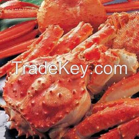 Frozen Mud Crab in a Wholesale Rate