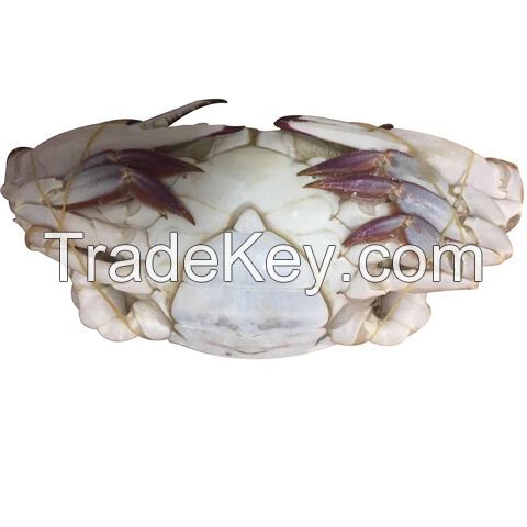 Frozen Fresh Blue Crab for sale / Frozen Blue Crab for sale / Frozen Crab for sale