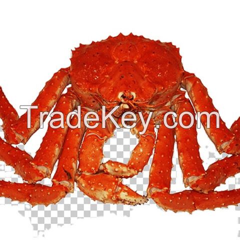 Frozen King Crab, Live King Crabs, King Crab Legs