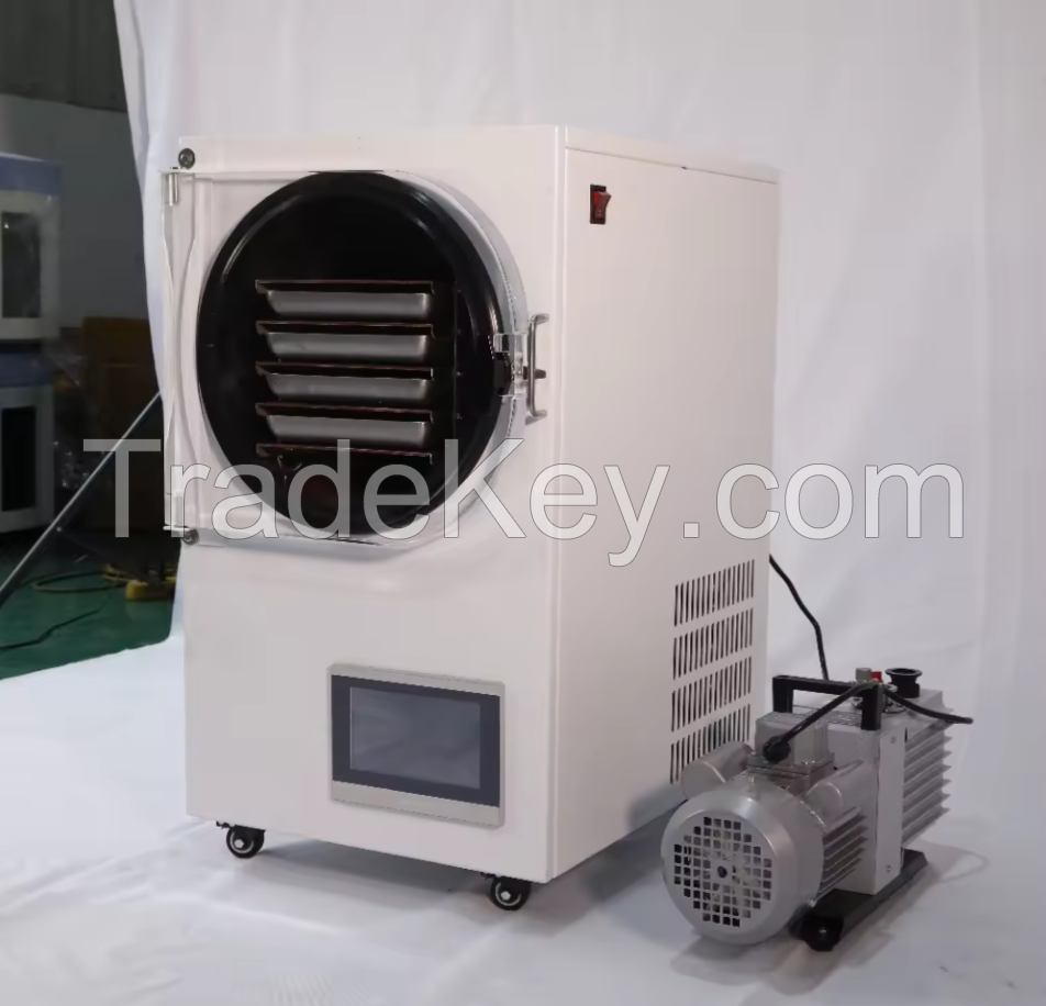 2kg, 4kg, 6kg Small Mini Vacuum Commercial Freeze Drying Machine Food Household Home Freeze Dryer