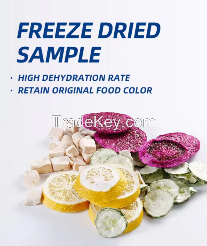 Food Vacuum Freezing Drying Machine Fruit Freeze Dryer