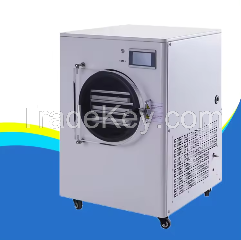 CE Proved Freeze Dried Food Vacuum Lyophilizer Price Fruit Mini Vegetable Home Freeze Drying Machine Freeze Dryer