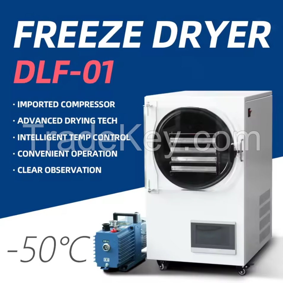 1kg 2kg 1 2 Kg 2lb 3lb 4lb Batch Vacuum Mini Freeze Dryer for Lab Home