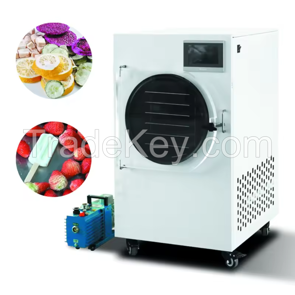 2kg, 4kg, 6kg Small Mini Vacuum Commercial Freeze Drying Machine Food Household Home Freeze Dryer