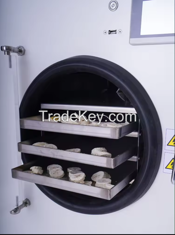 Durian Freeze Dryer Machine Corn Kernel Freeze Dryer