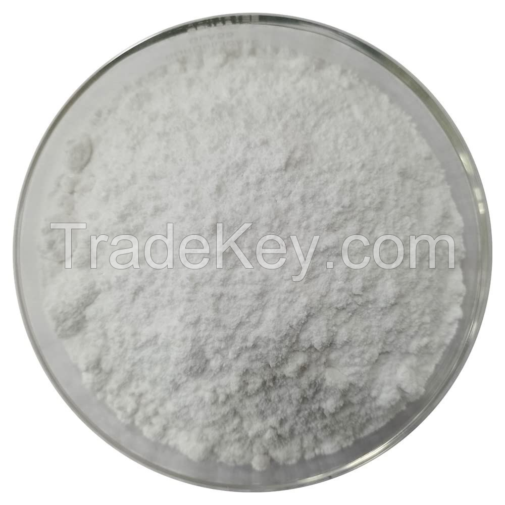 Multipurpose Additive Lactic Acid Powder in Food Industry