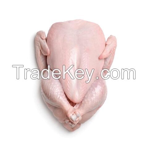 Halal whole chicken, Brazil frozen whole chicken suppliers, frozen whole chicken for export