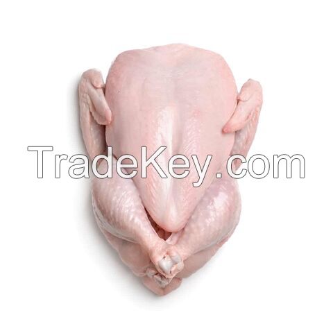 Brazilian frozen whole Chicken chicken legs and chicken wings/ Halal Chicken Paws, chicken feet for export