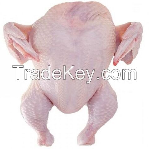 Brazilian frozen whole Chicken chicken legs and chicken wings/ Halal Chicken Paws, chicken feet for export