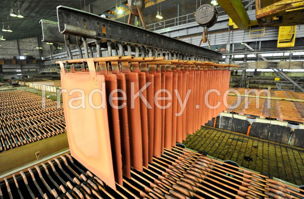 Copper Cathode