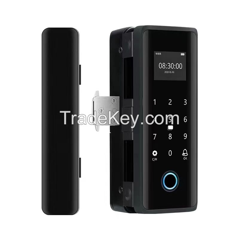 Eseye TUYA WIFI App Fingerprint Smart Glass Door Lock with Keys Intelligent Biometric Digital Doorlock for Sliding Glass Do