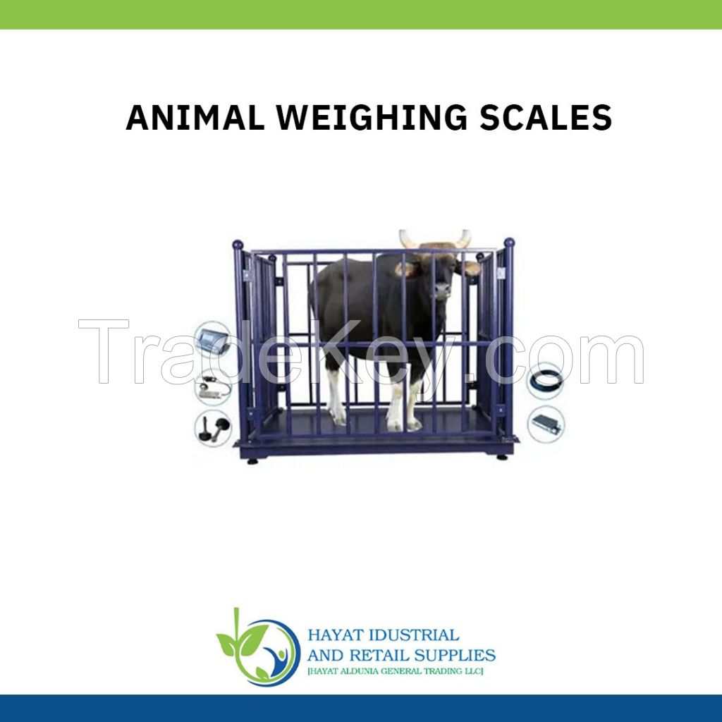 Barcode Label Weighing Scale, Pallet scale, Weighing Scale hanging,Industrial weighing Scale