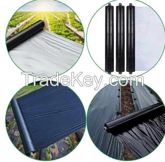 PE Black and Silver Plastic Mulch Film