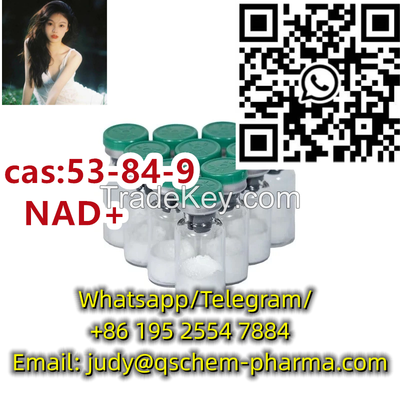 Highest grade purity 99% factory price high quality Cas 53-84-9 NAD+