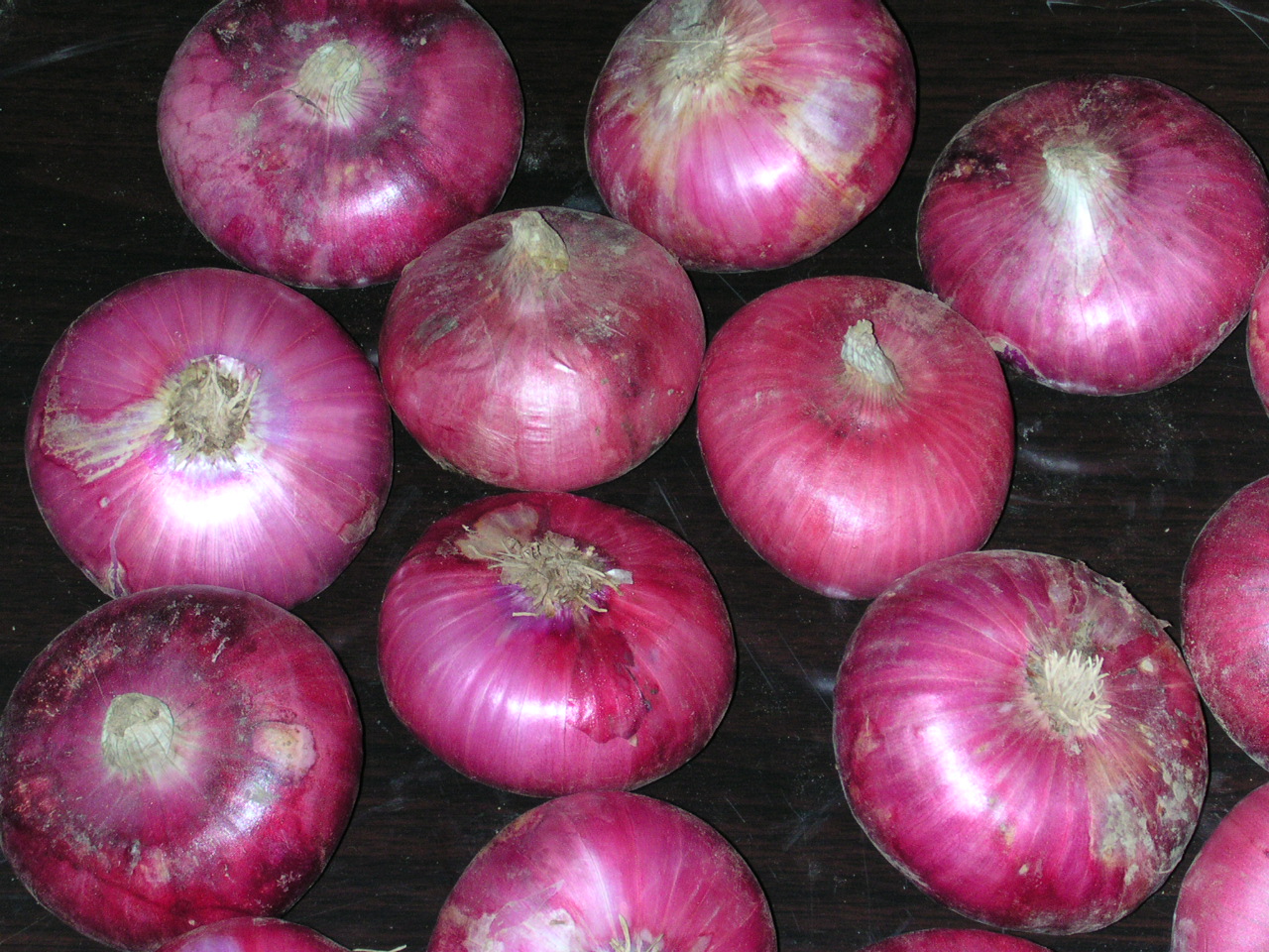 onion