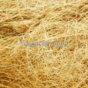 Palm Press Fiber