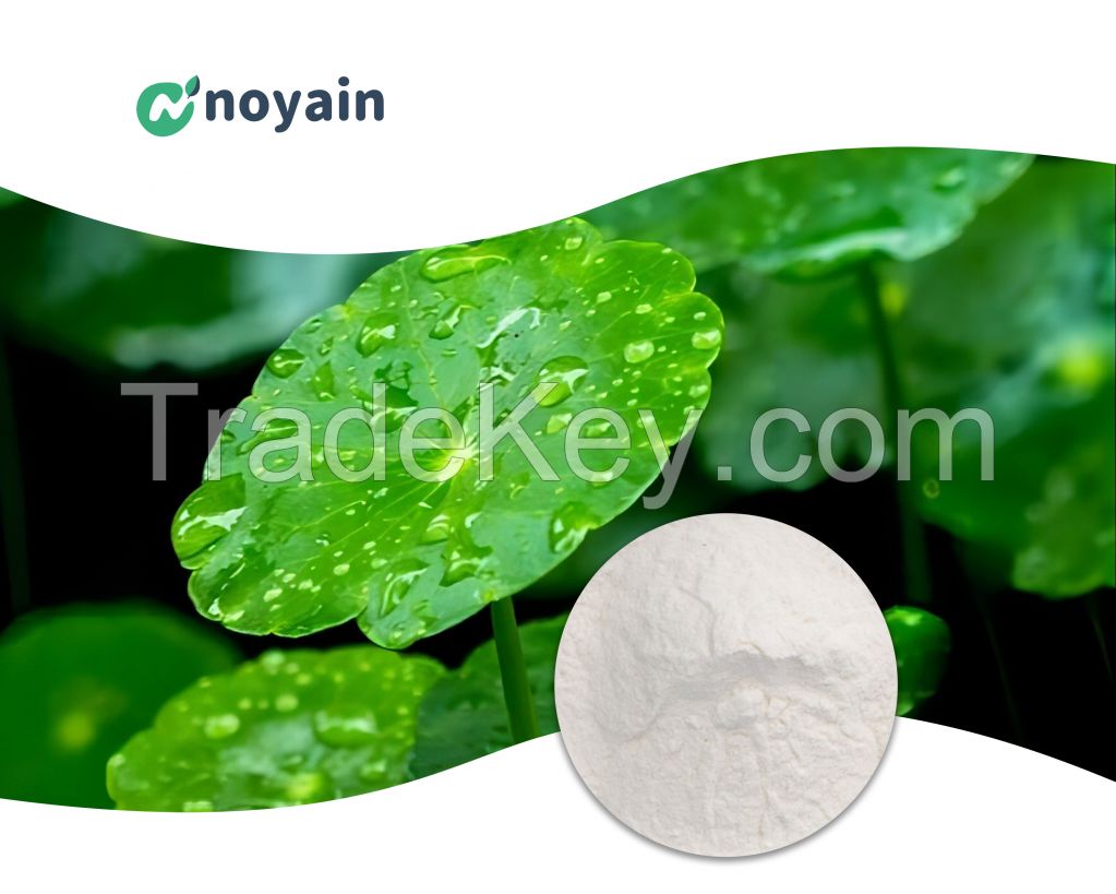 Centella Asiatica Extract 84696-21-9.Manufacturer Supply Centella Asiatica Extract High Quality