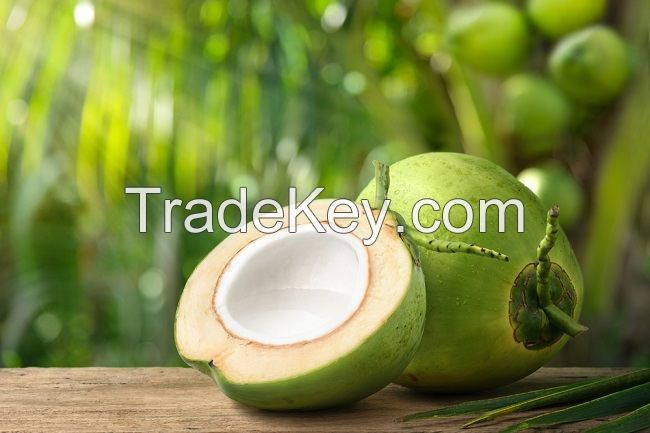 FRESH COCONUT