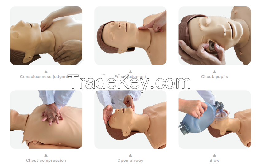 medical training model