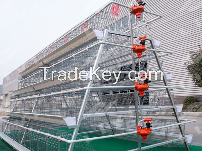 A Type Layer Battery Cage(5000-30000 Chickens)