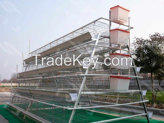 A Type Layer Battery Cage(5000-30000 Chickens)