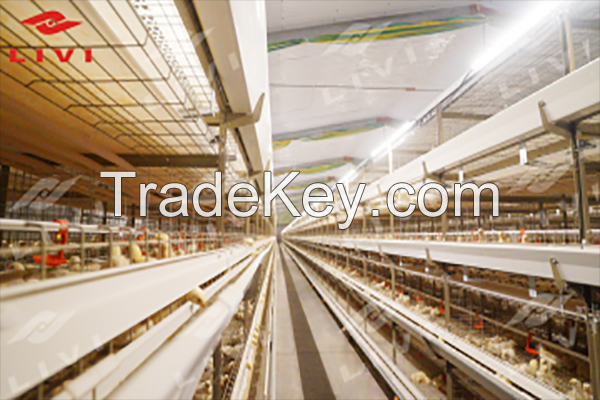 Modern Layer Battery Cage System