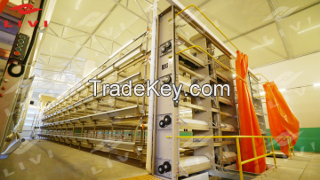 Modern Layer Battery Cage System