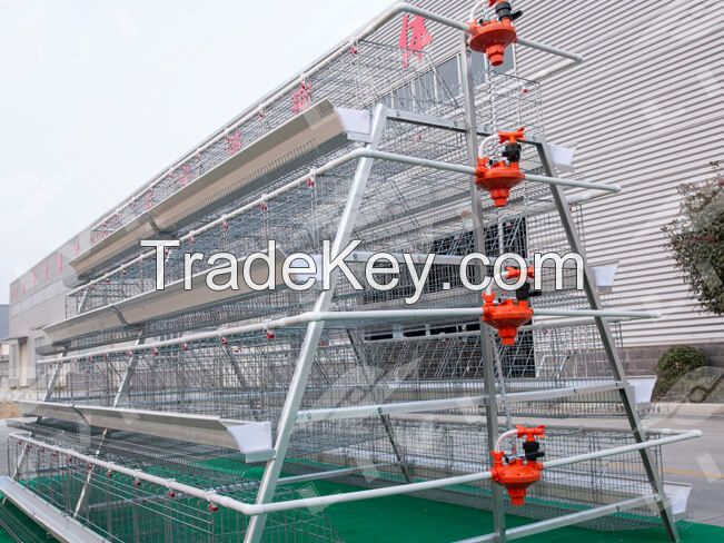 Modern Layer Battery Cage System