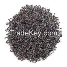 Top Quality Poppy Seeds (Blue , Brown & White Poppy Seed)