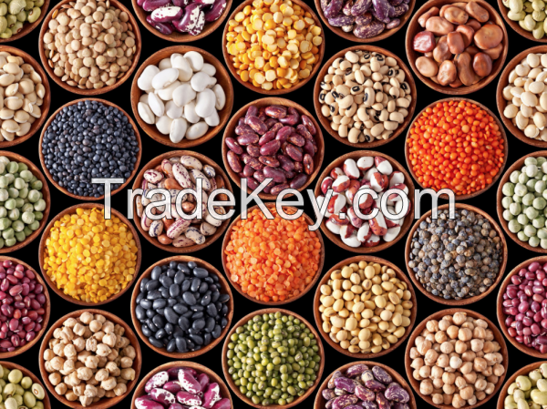 Selling Sesame Seeds, Sunflower Seeds, Chia Seeds, Poppy Seeds, Pumkin Seeds, Water M