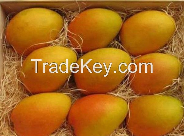 Fresh Indian Mangoes