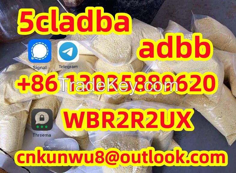 5cladba best cannabinoid 5cladba precursor raw 5cl-adb-a material in stock