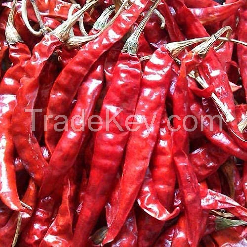 TEJA DELUXE RED CHILLI (WITH STEM, STEM CUT & STEMLESS AVAILABLE.
