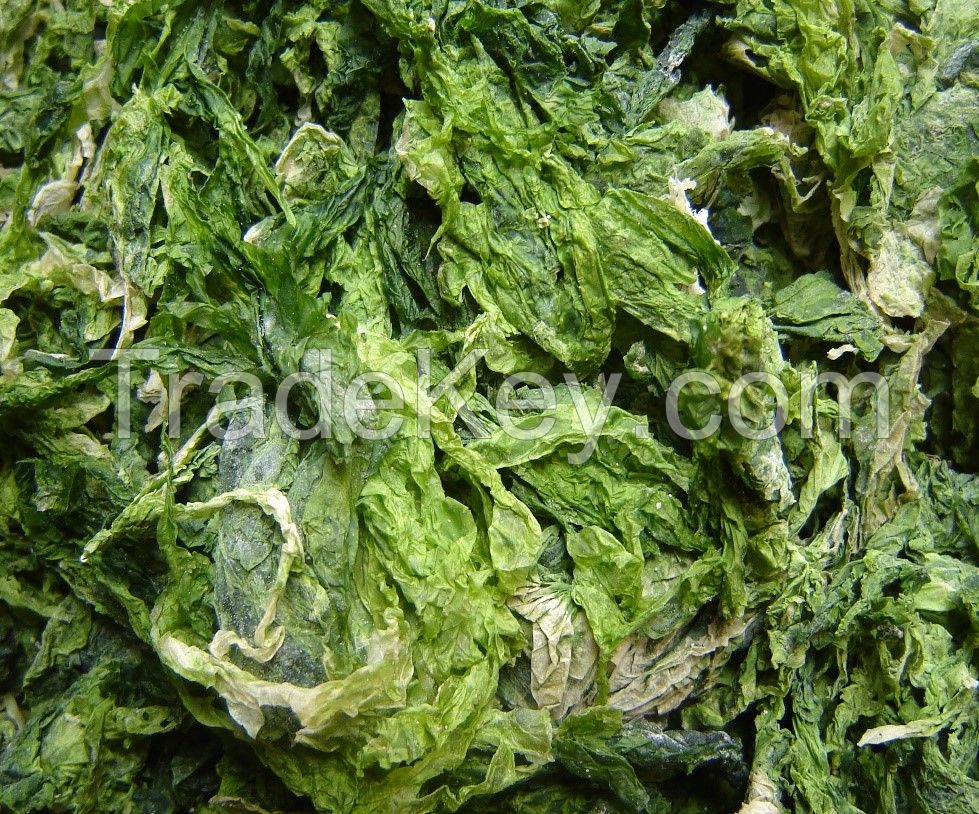 seaweed