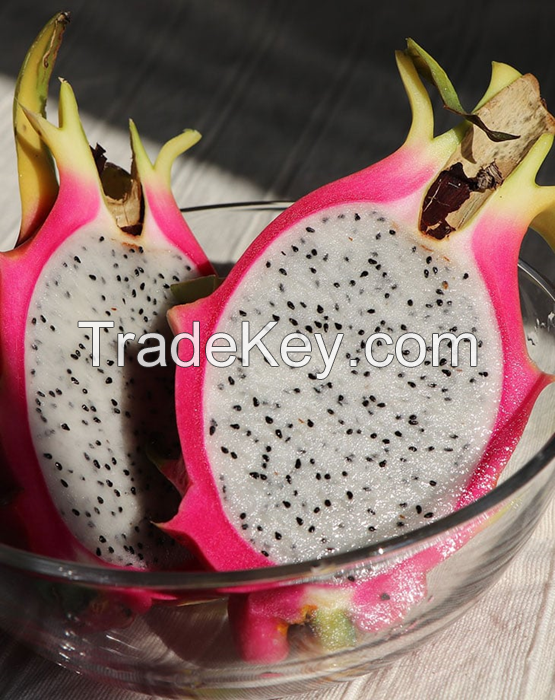 DRAGON FRUIT