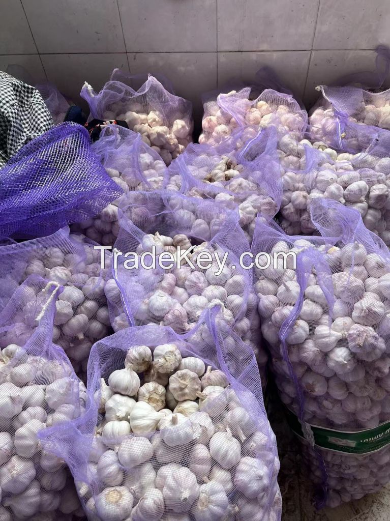 B 4.5-6.0cm 20kg Chinese Fresh Garlic Vegetables Garlic Wholesale Normal White Garlic