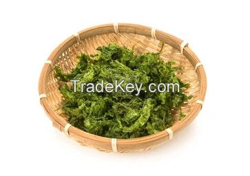HIGHT QUALITY DRIED ULVA LACTURE FROM VIETNAM