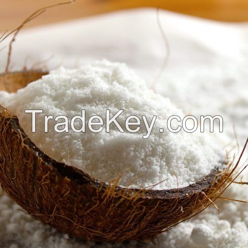 HOT SALE DESICCATED COCONUT FROM VIETNAM