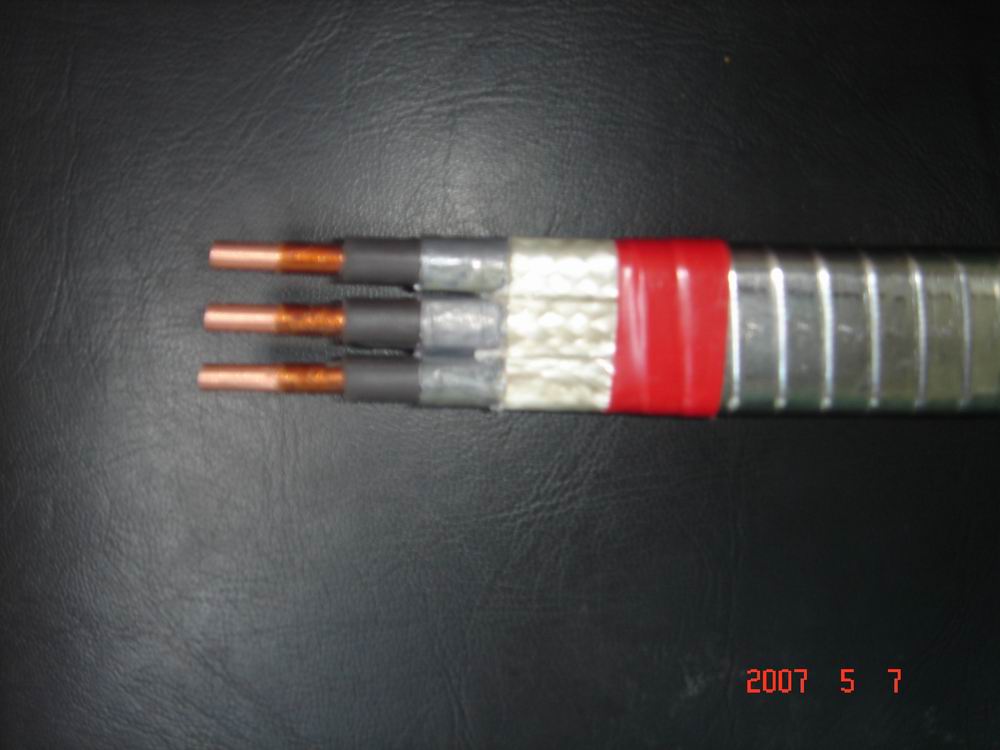 ESP r cable