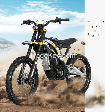 Electric dirt bike 