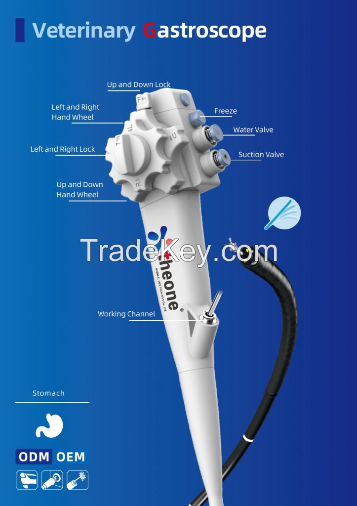 Onevet Veterinary Gastroscope