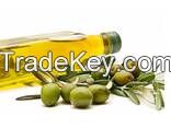 High Quality Cold Press Extra Virgin Olive Oil Bulk Sale