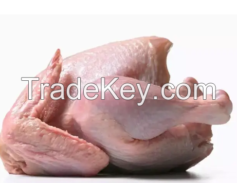 Halal Certified Frozen Whole Chicken For Sale Wholesale Frozen Halal Whole Chicken Frozen