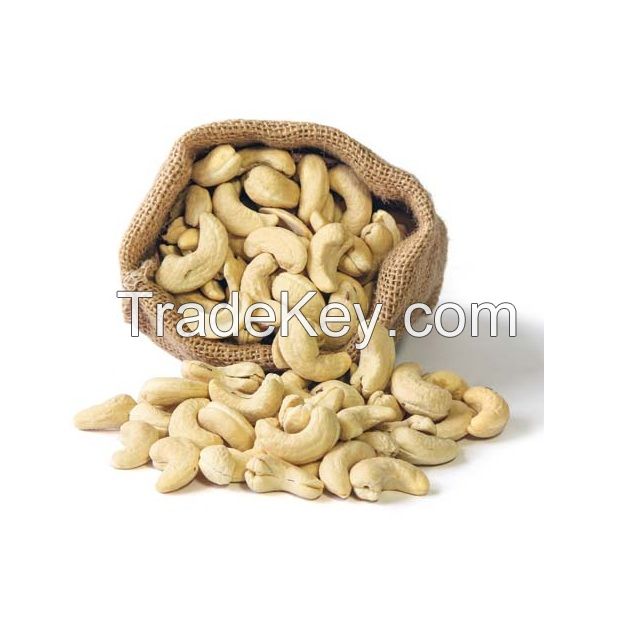 BEST PRICE HIGH QUALITY DRIED AND WHITE COLOR BROKEN CASHEW NUTS / BROKEN CASHEW Kernels