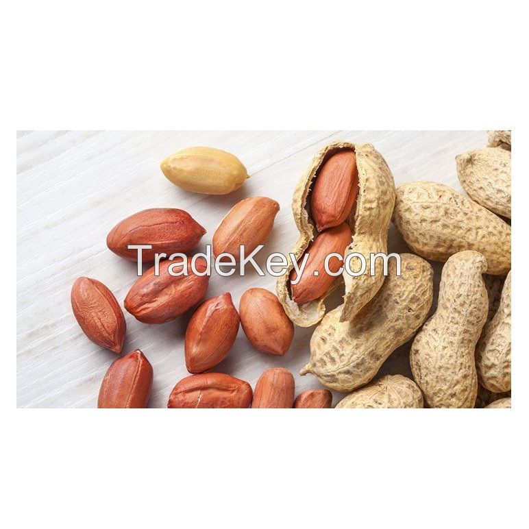 High Quality Raw Peanuts Without Shell Raw Peanuts Blanched Peanut Kernels