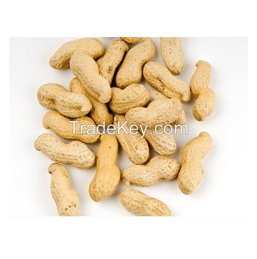 High Quality Raw Peanuts Without Shell Raw Peanuts Blanched Peanut Kernels