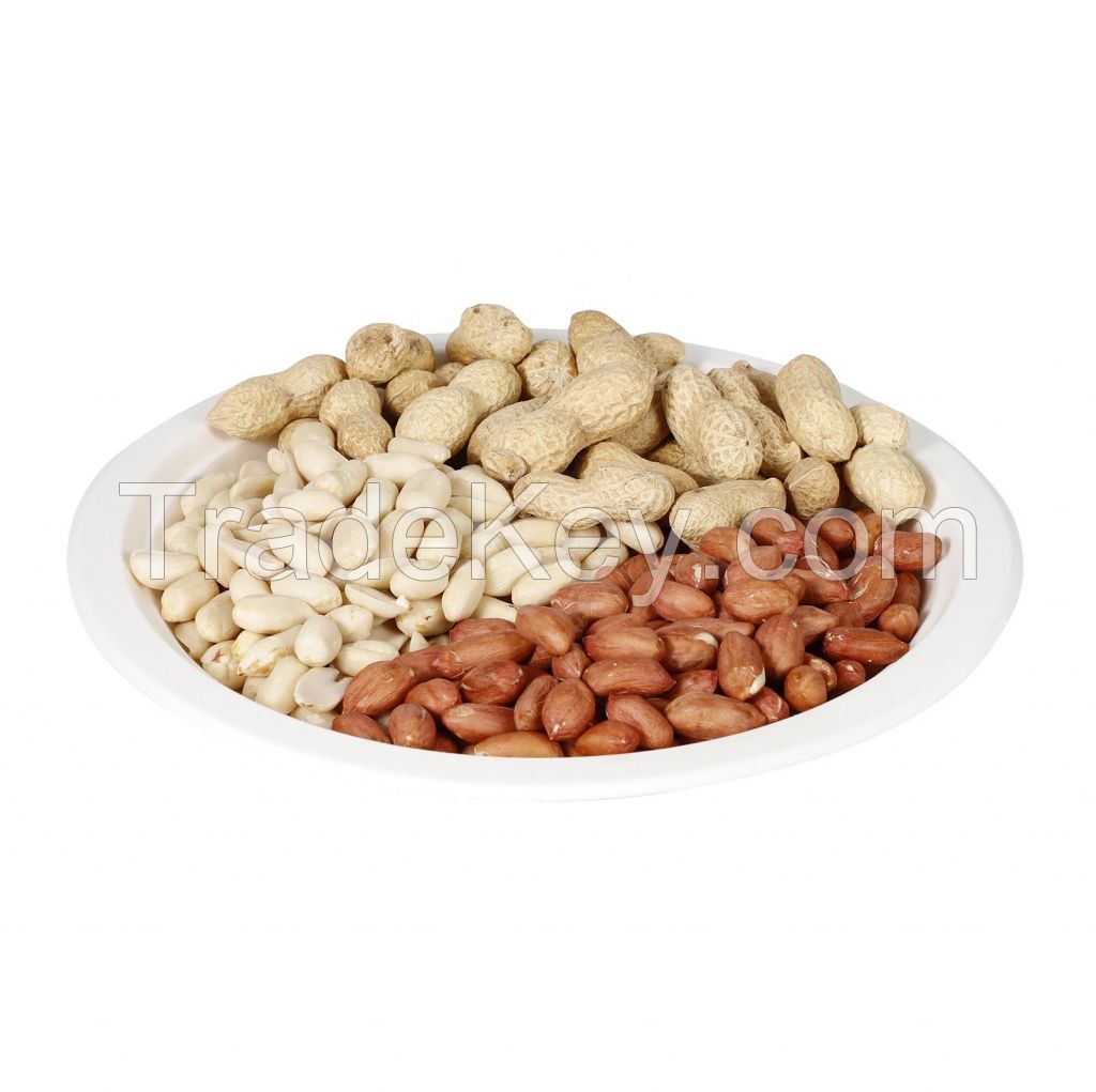 Rich in protein Rich organic protein Kernel Raw Peanuts Kernel Peanut