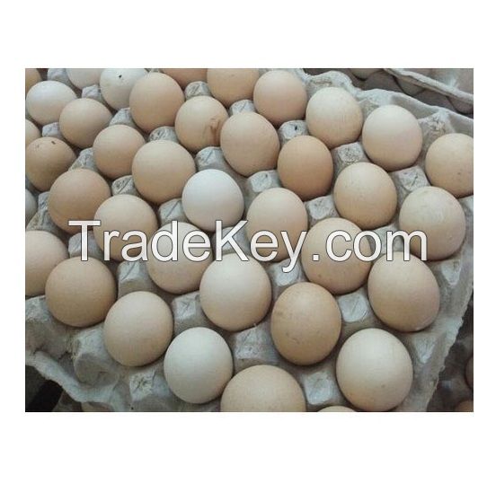 Good Quality Cheap Price White / Brown Shell Fresh Table Chicken Eggs For Export
