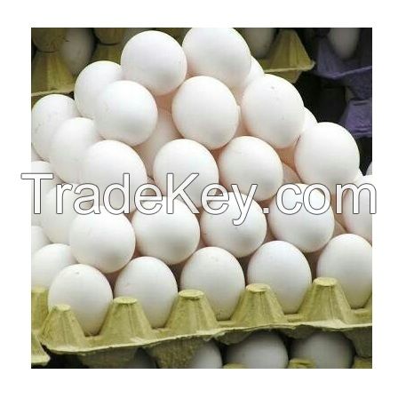 Best Quality Fresh Brown Table Chicken Eggs Cheap Fresh Chicken Table Eggs Fresh Chicken in bulk Brown Eggs